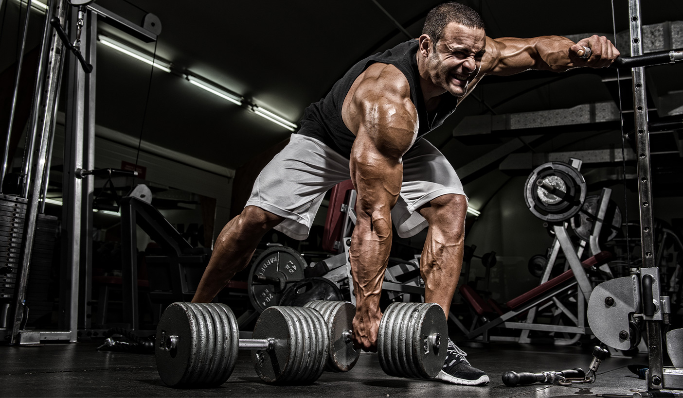 Image of Bodybuilder